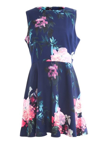 Plus Size Floral Skater Dress : Always In Fashion For All Occasions