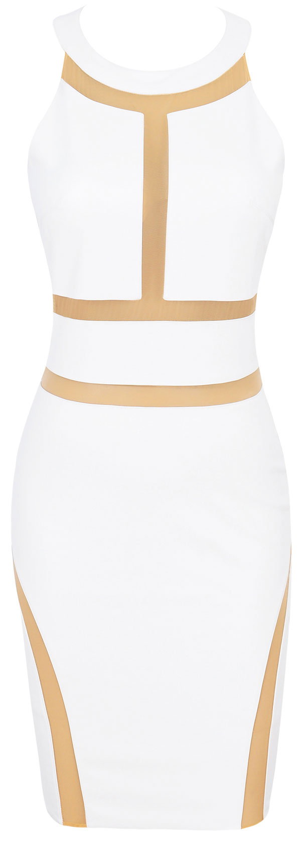White Bodycon Dress With Mesh & Make Your Evening Special
